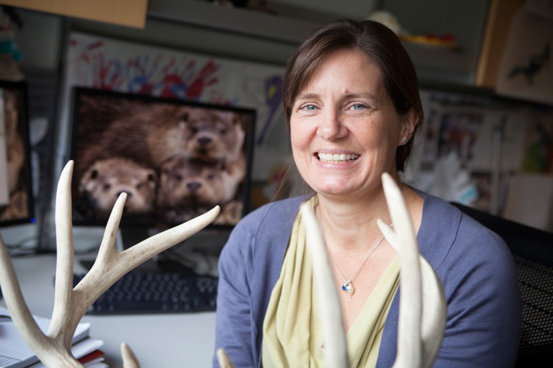 Cornell Wildlife Health Center launched because we need nature, and